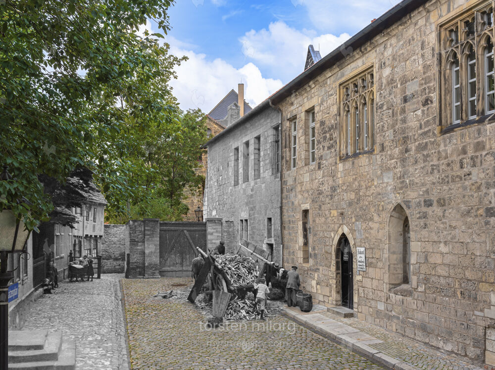 „Katzen“ auf der Mauer - Katzenplan und Westseite Kreuzgang Liebfrauenkirche