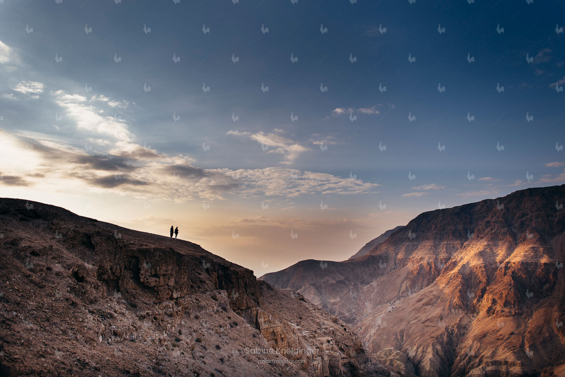 Wüste I Israel 2018