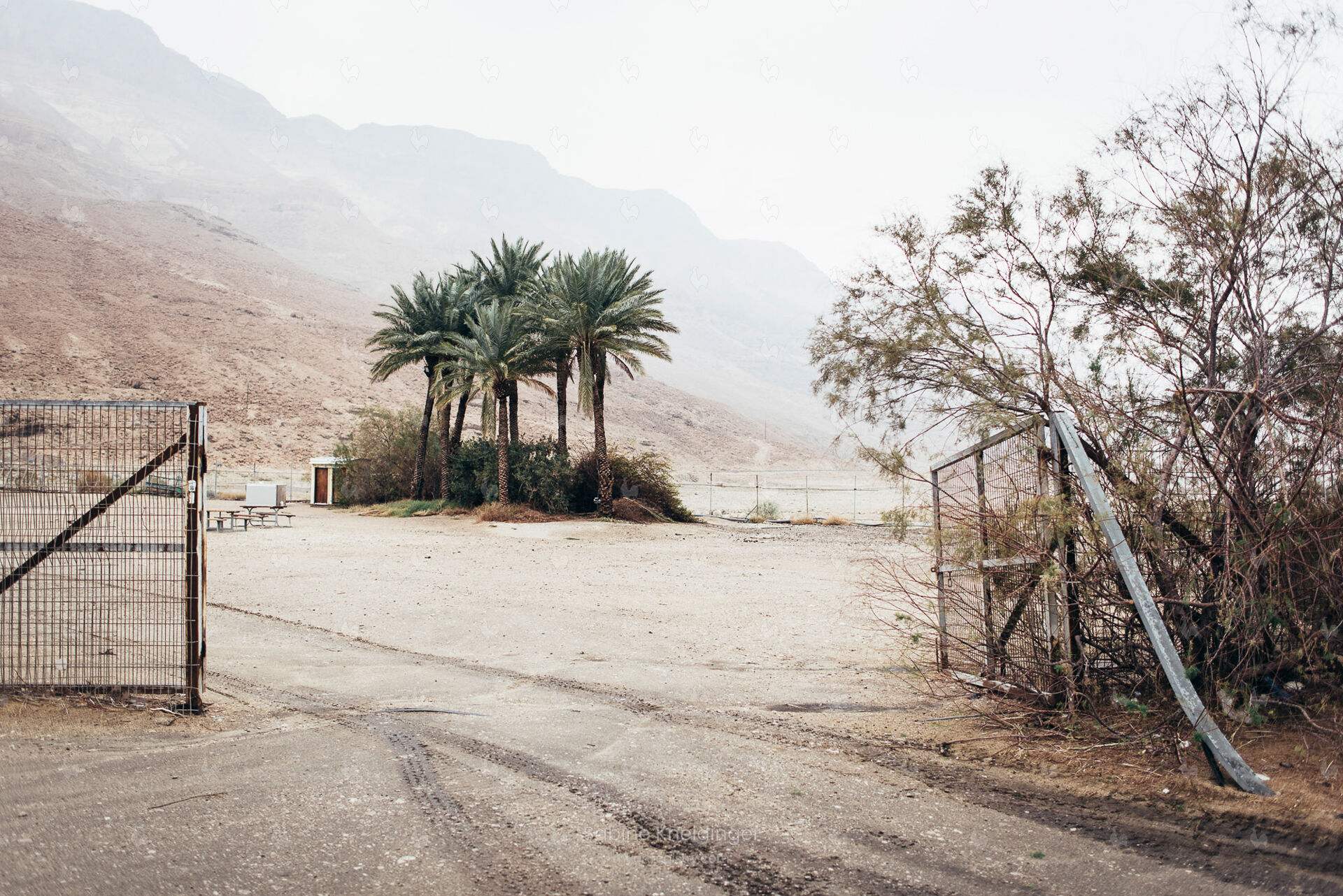 Between Season I Israel 2018