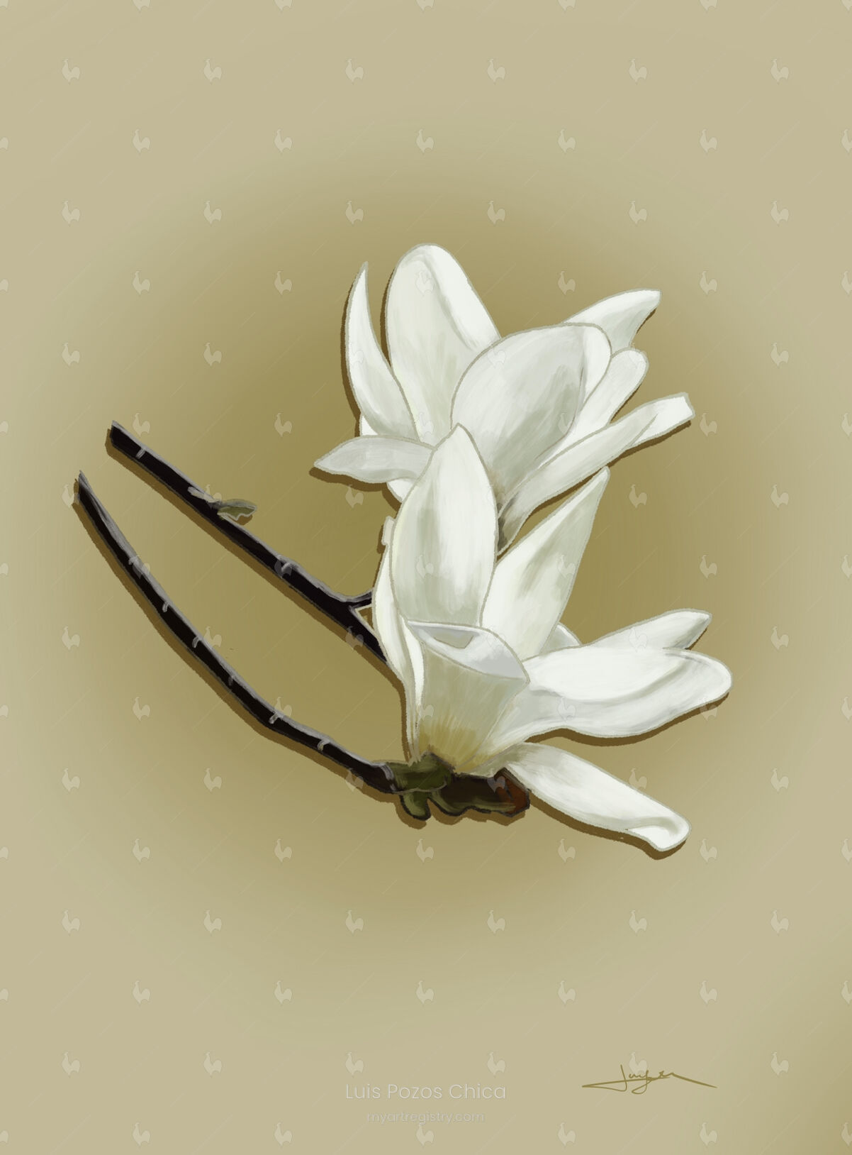 Magnolia