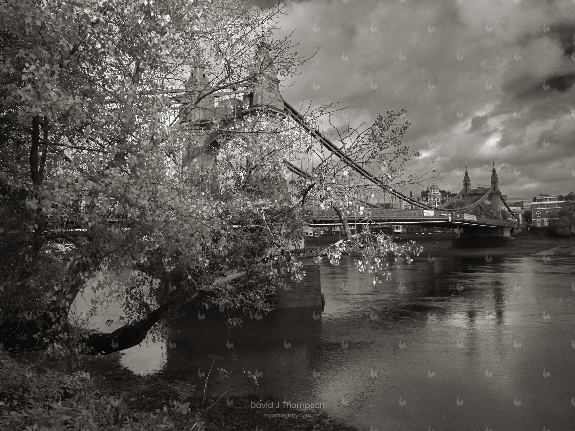 Hammersmith Bridge In Spring