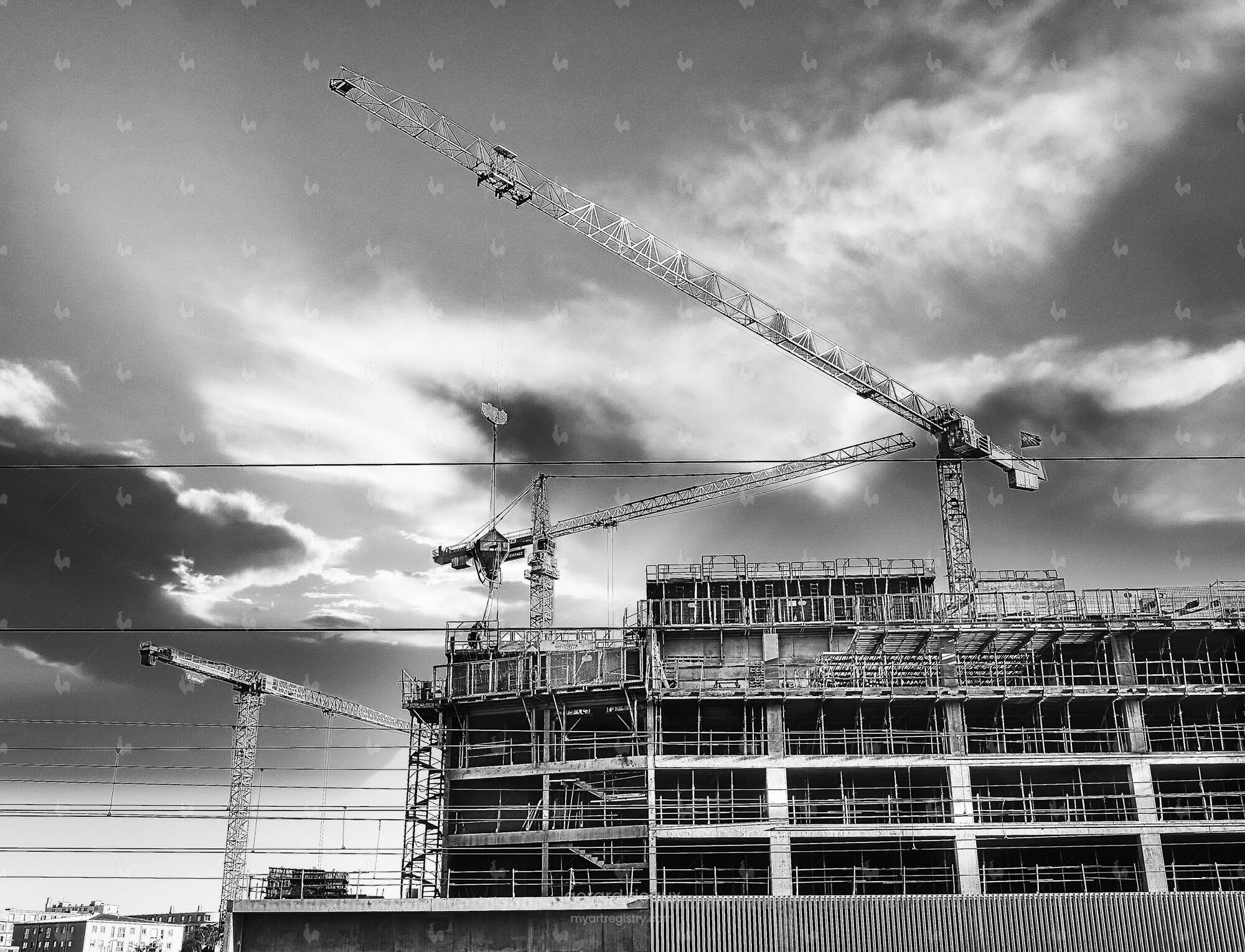 trois grues