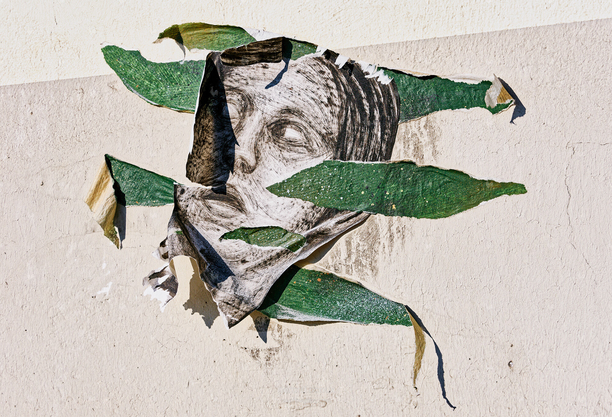 Déchirure / Tear