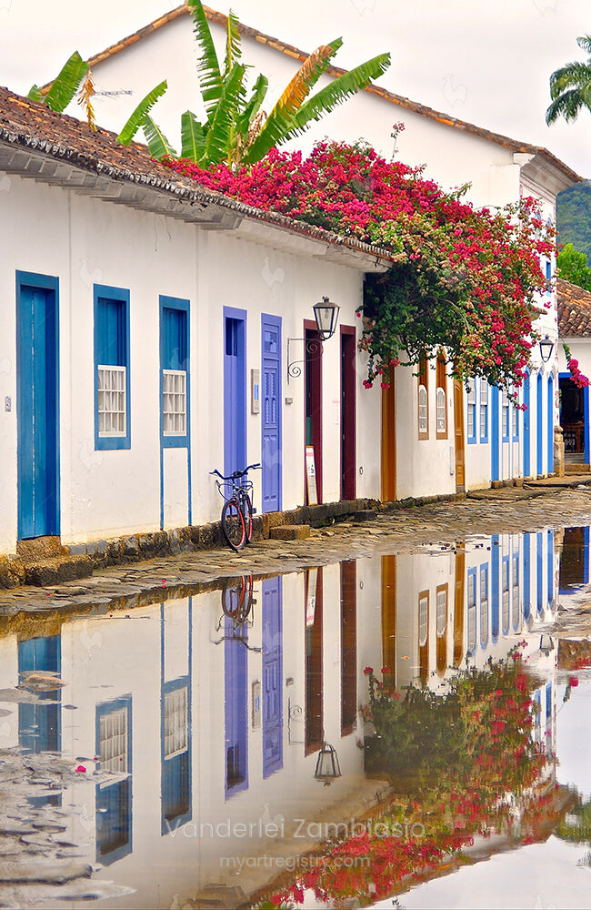 Reflexos