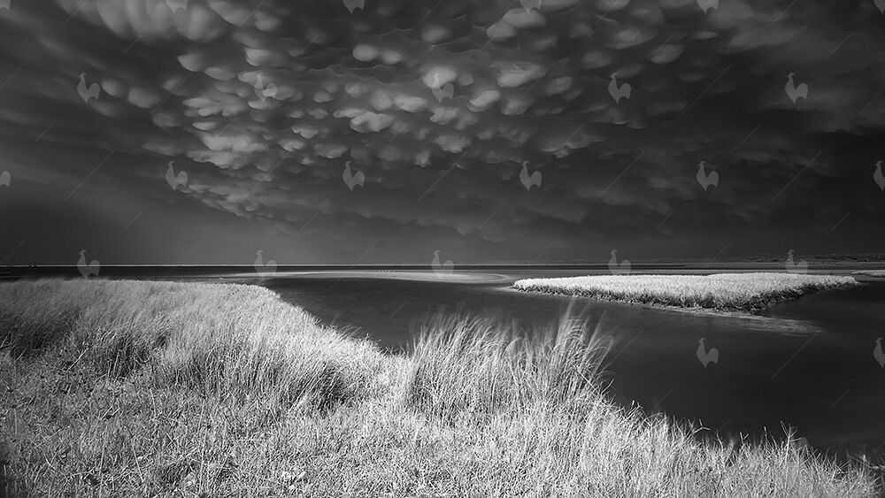 Mammatus