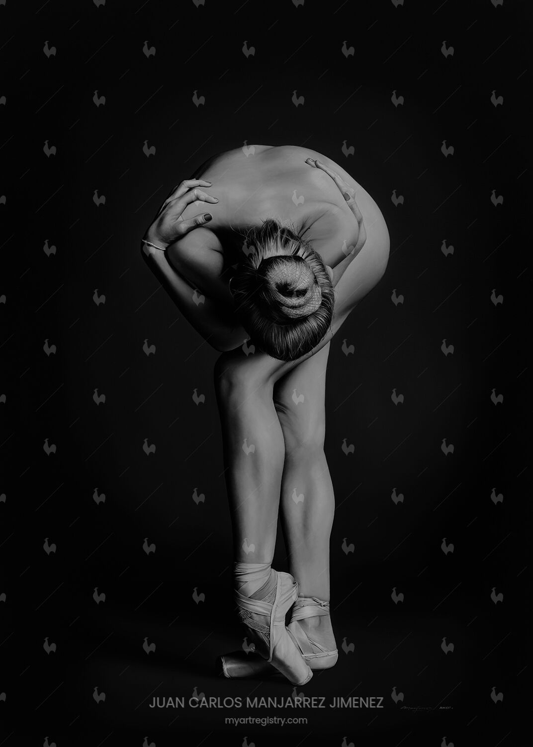 LADY DANCER I - VII/LXXV