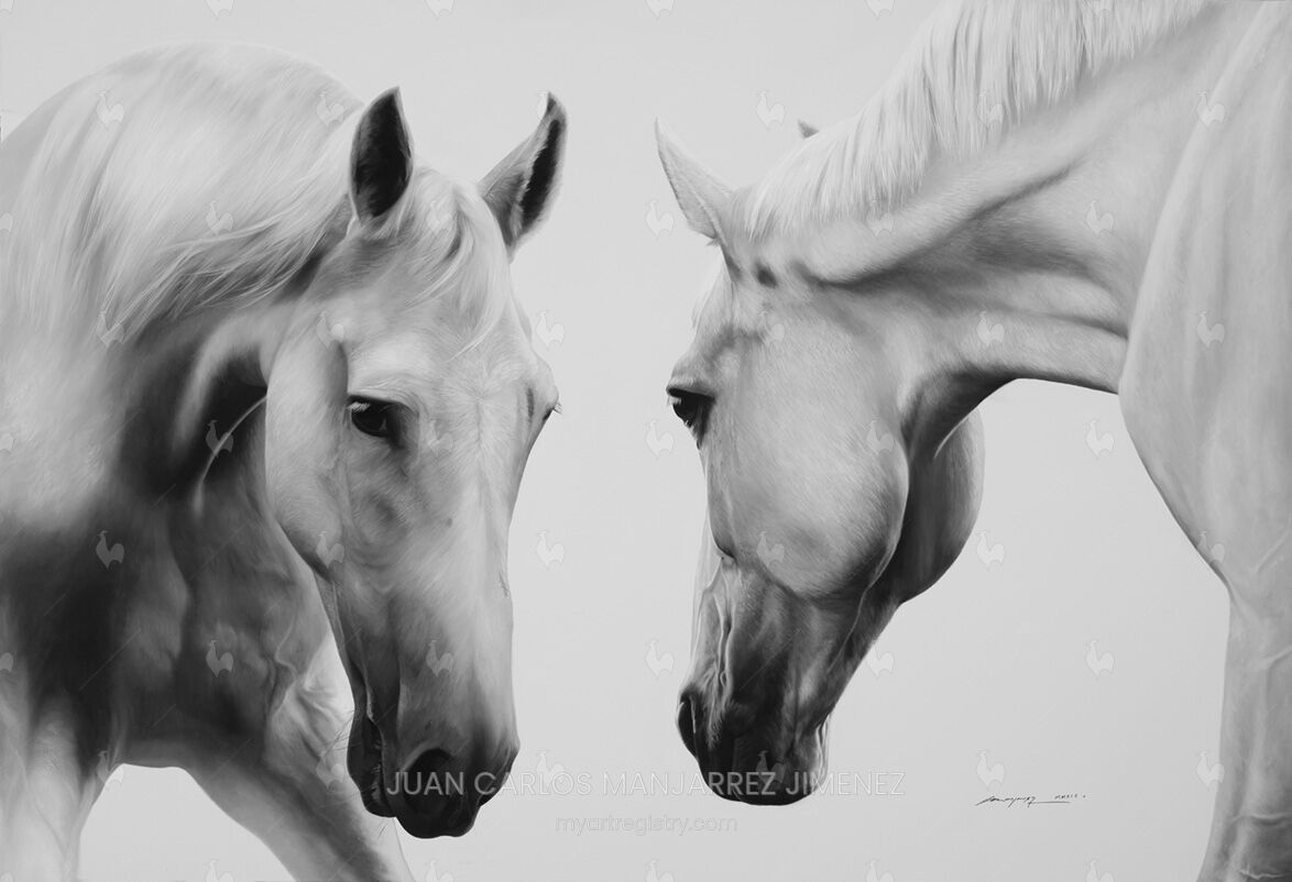 EQUUS - II/LXXV