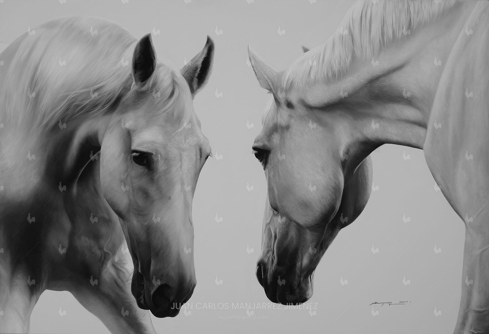 EQUUS - I/LXXV
