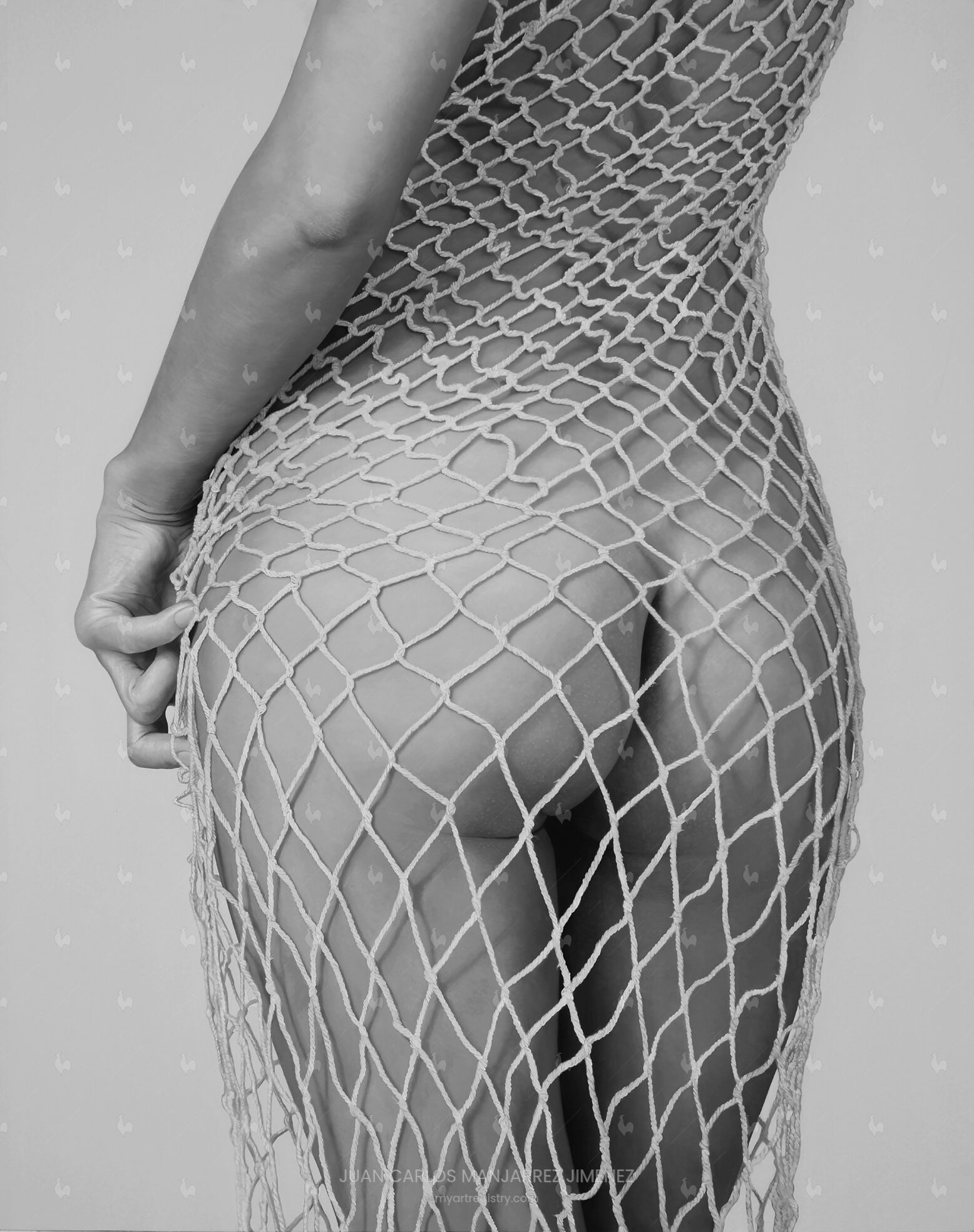 THE NET - II/LXXV