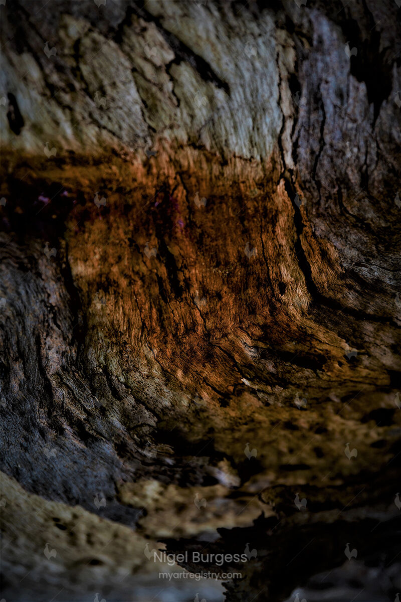 Oxide Palette - Tree Eight