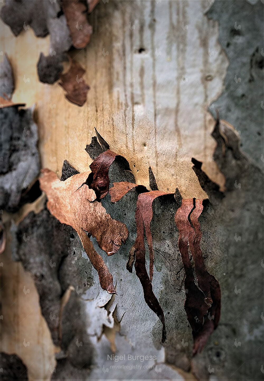 Weeping Earth - Tree Two