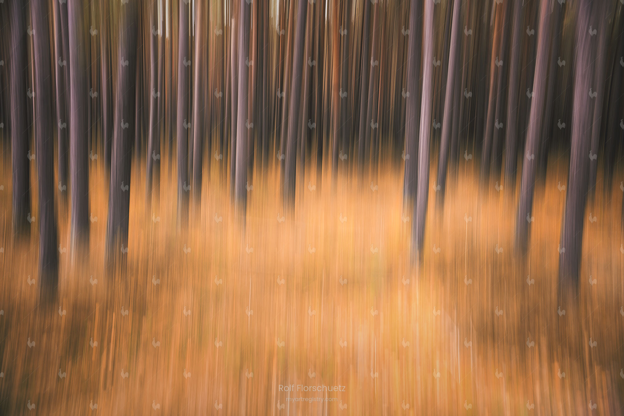 Colors of Autumn