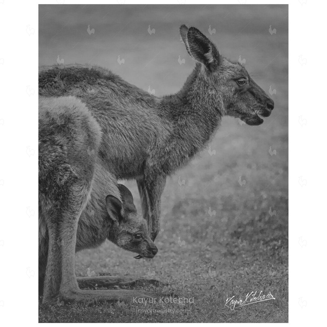 KANGA
