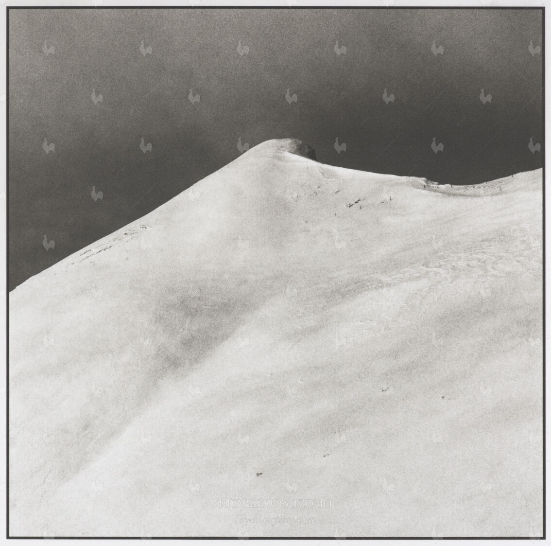 (non)volatile #9