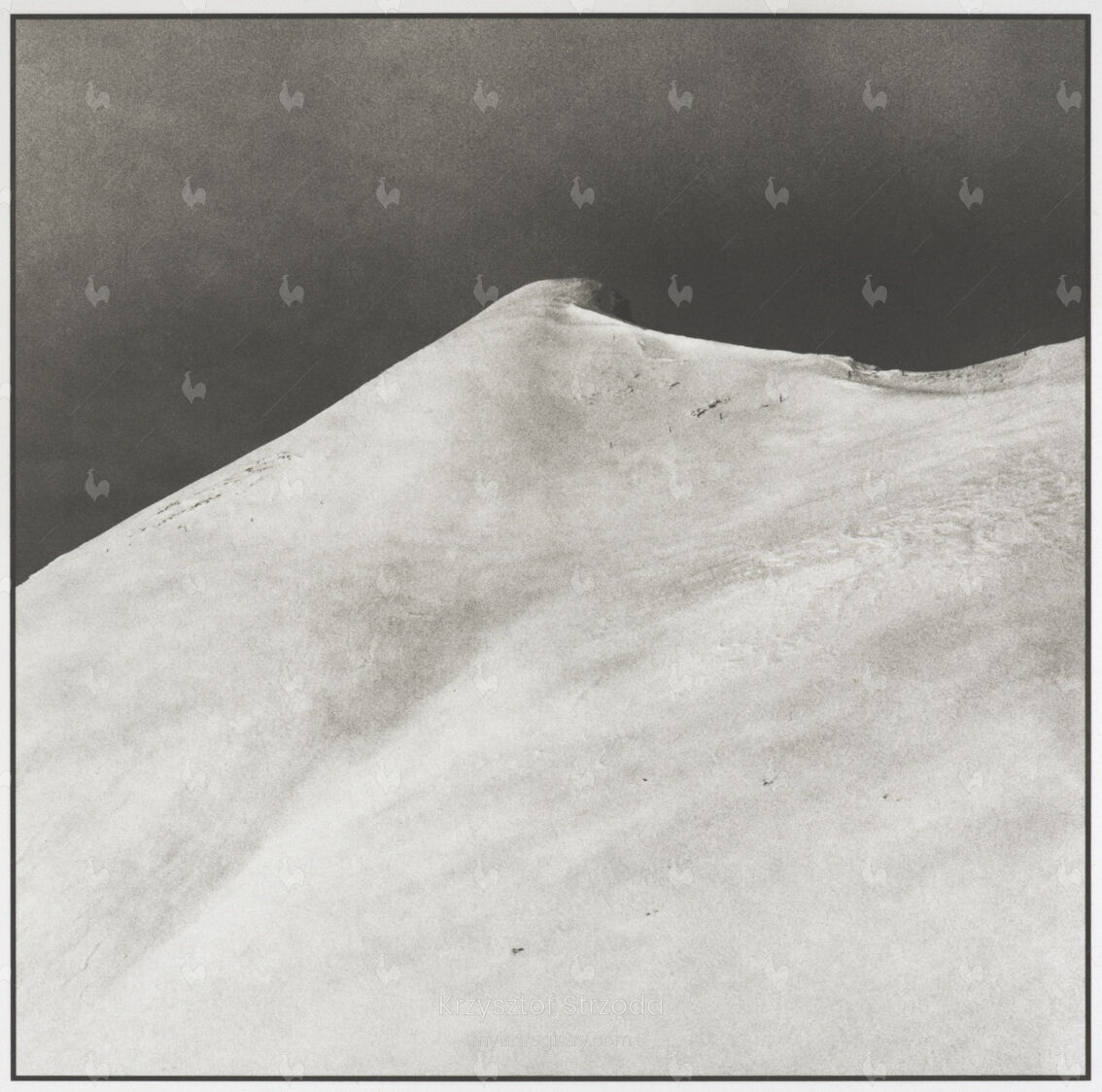 (non)volatile #9