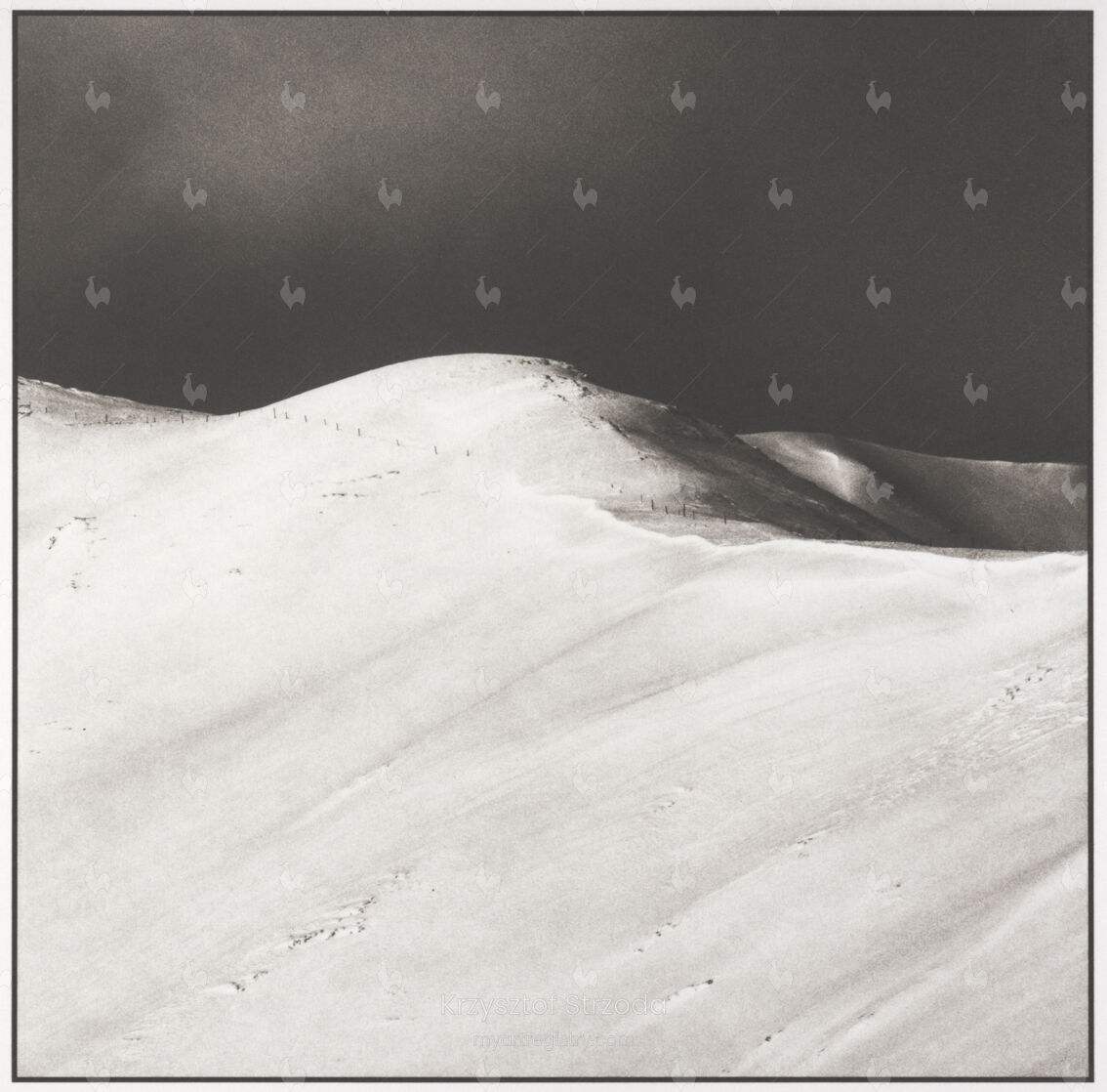 (non)volatile #8