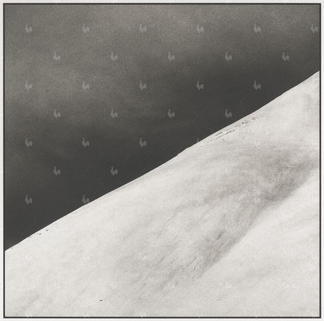 (non)volatile #7