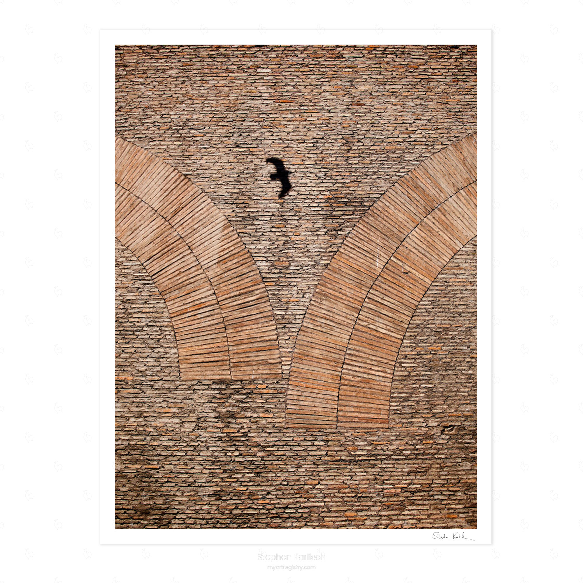 Bird on Arches - Pantheon, Rome