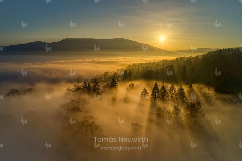 Gold Fog