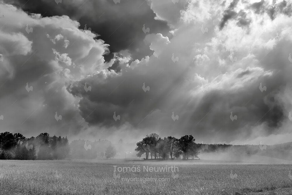 After a Storm