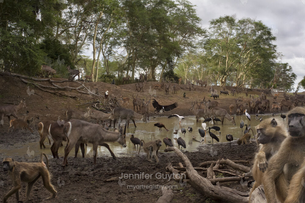 Gorongosa Watering Hole