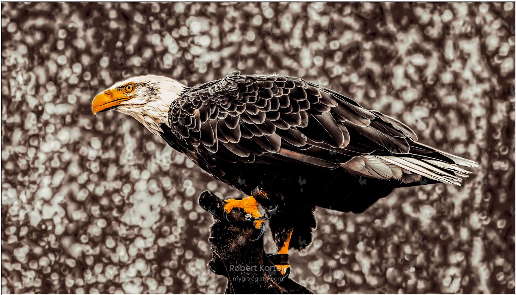 Eagle Clove