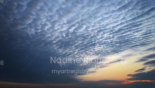 DREAM BOLDLY 1/1