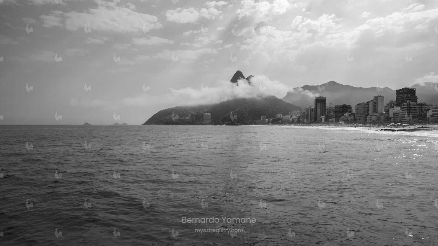 THE REAL RIO