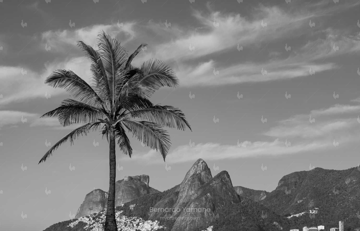 THIS IS RIO