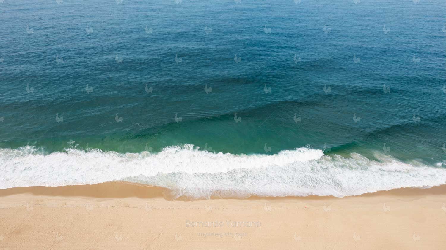 RED FLAGS, ROUGH SEAS