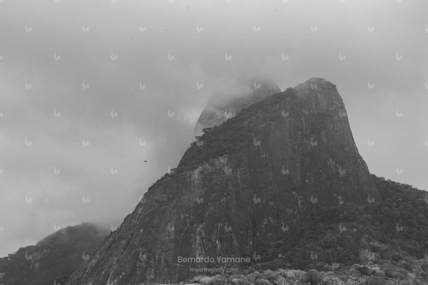 MIST