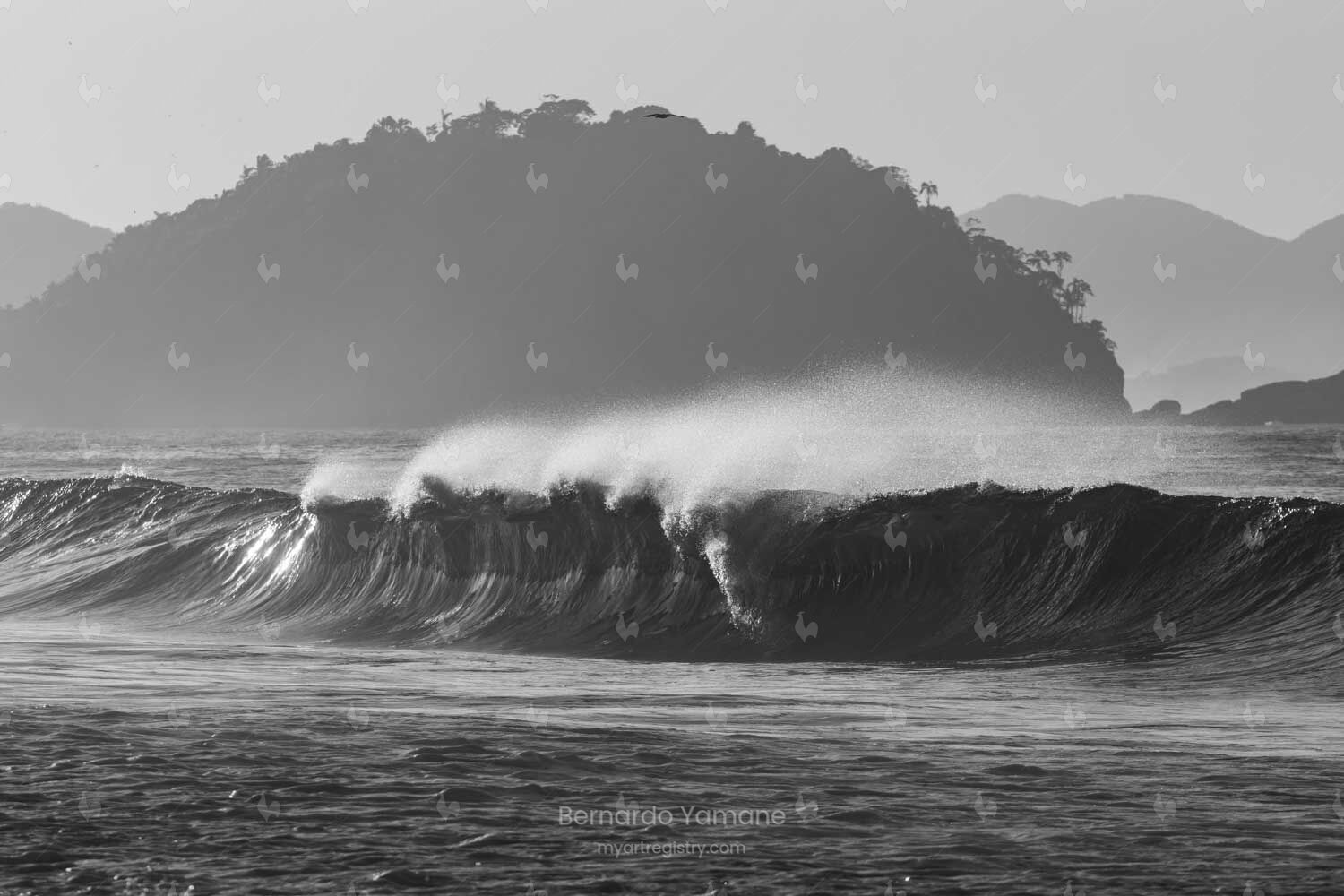 WAVE P&B