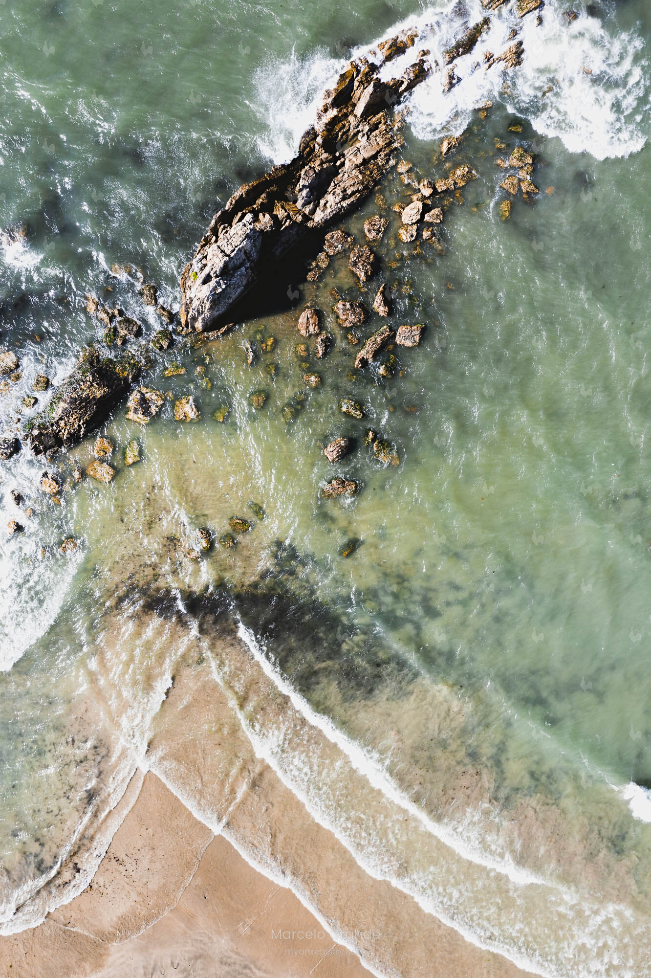 Birds View