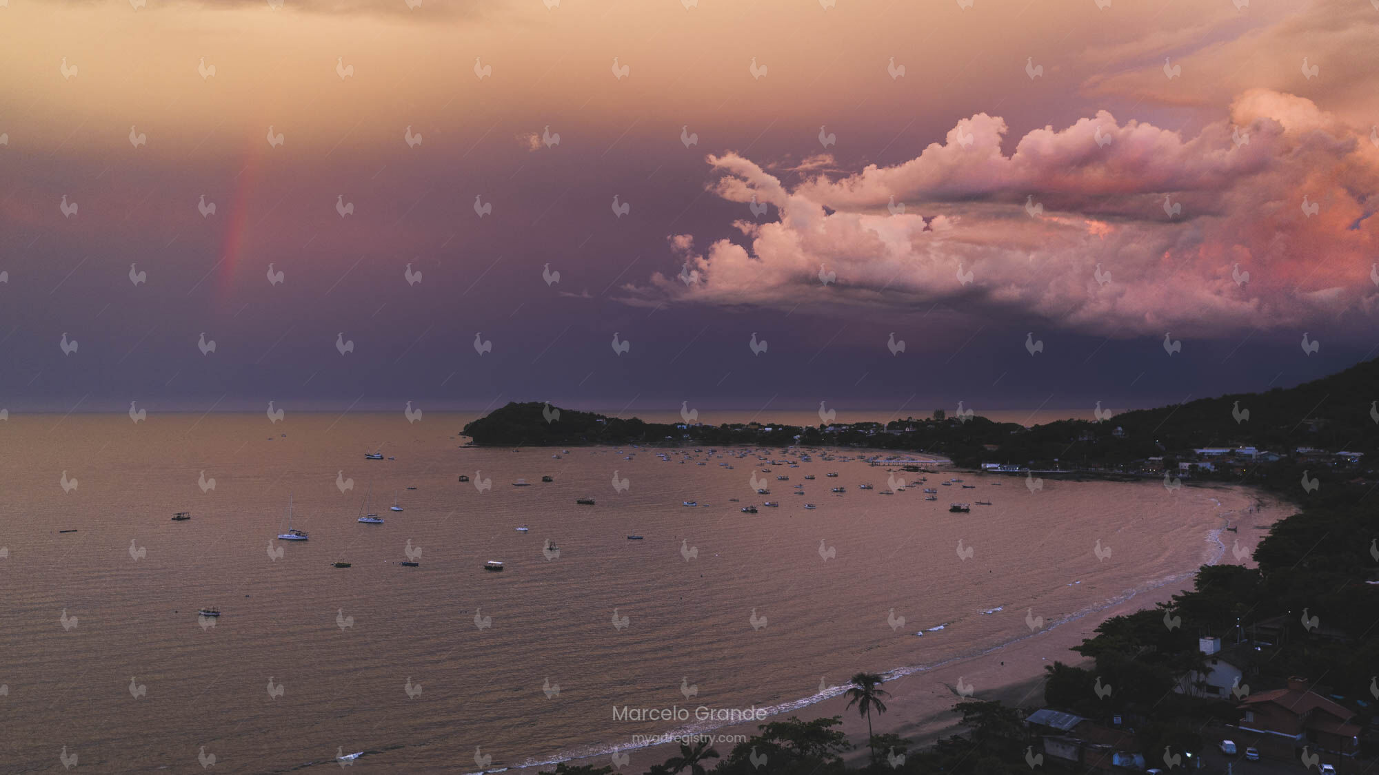 Purple Sky