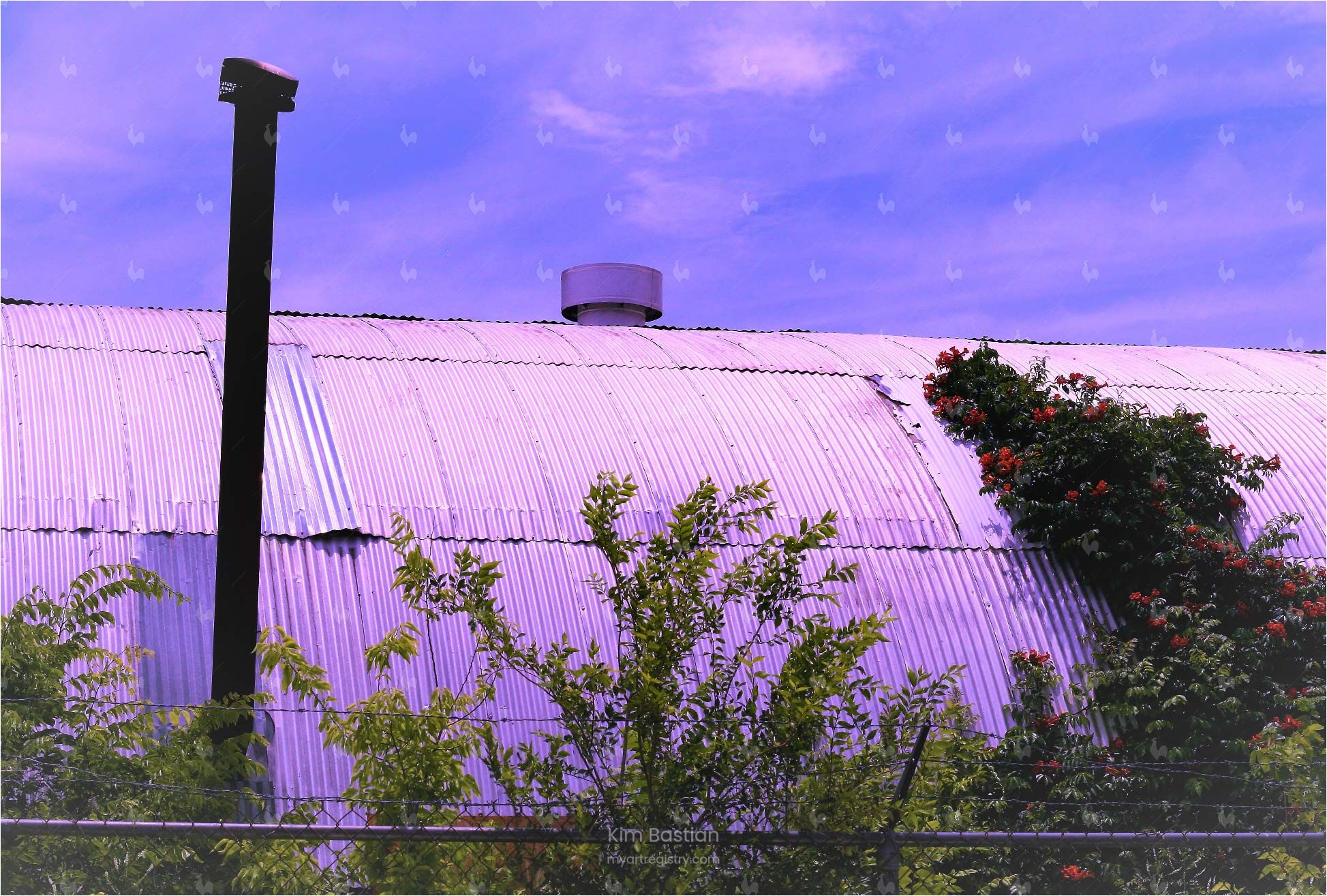 Orange Trumpets in Metallic Sky