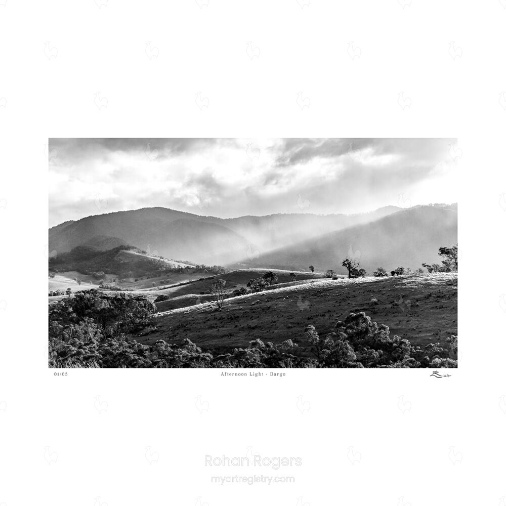 Afternoon Light - Dargo