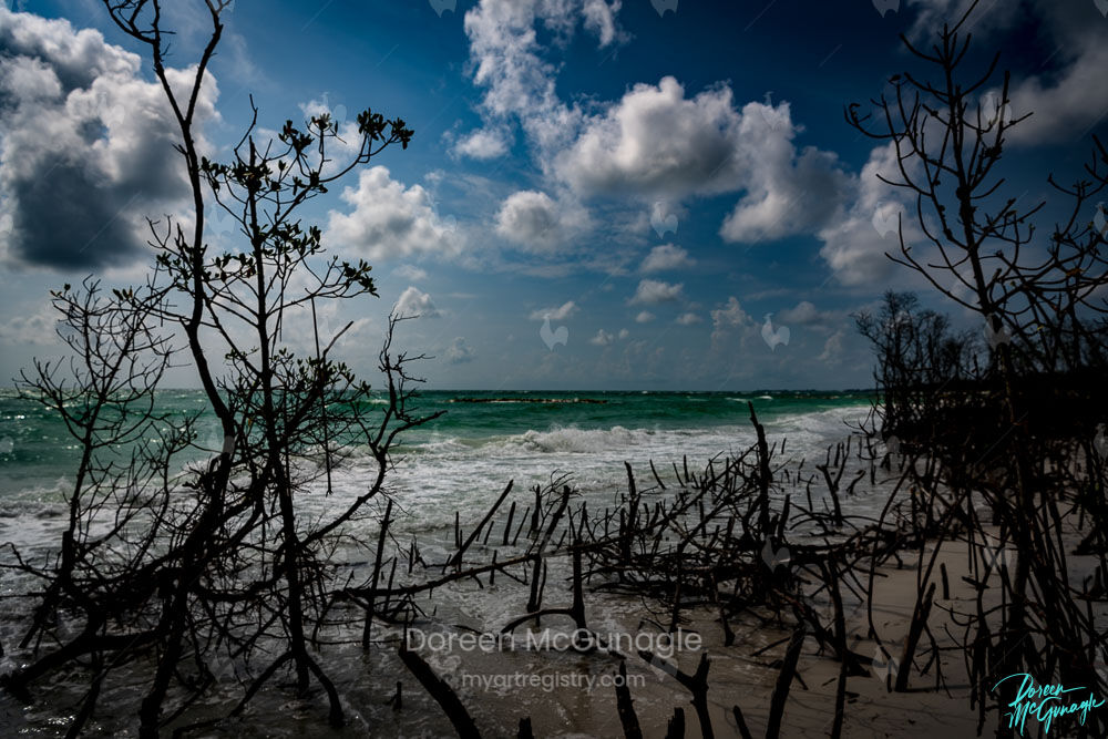 Beer Can Island 02, 2021