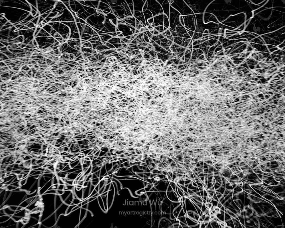 Encircling Trees, 03:20–05:20, 2019/04/20