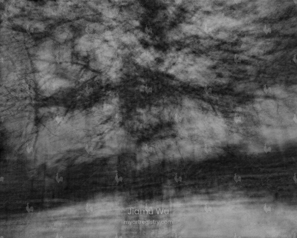 Encircling Trees, 03:52–04:56, 2019/04/09