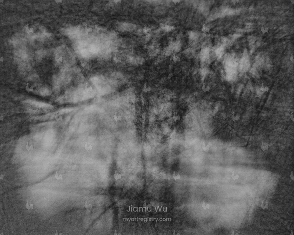 Encircling Trees, 04:38–05:10, 2019/03/12