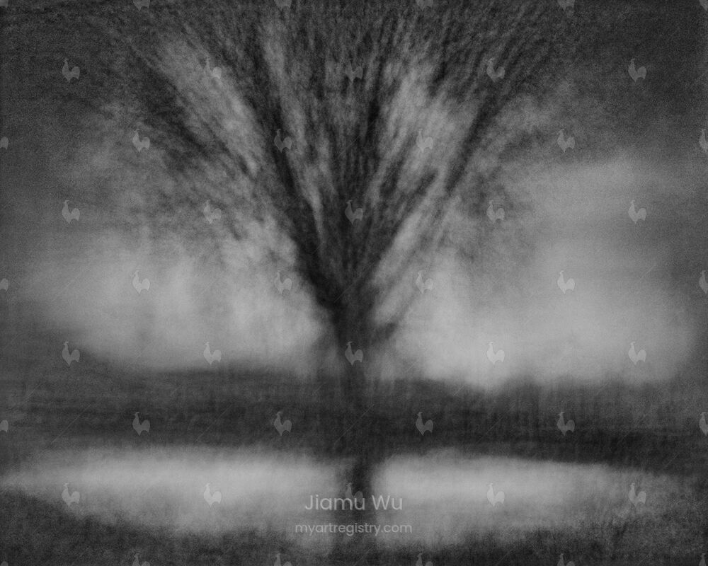 Encircling Trees, 04:30–05:02, 2019/03/11