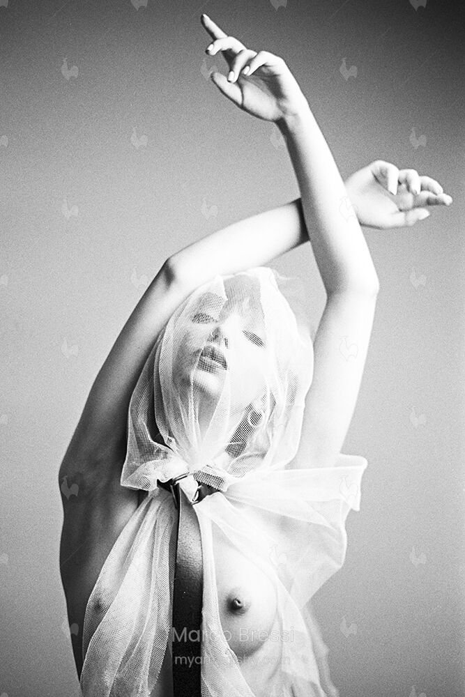 The Bride II