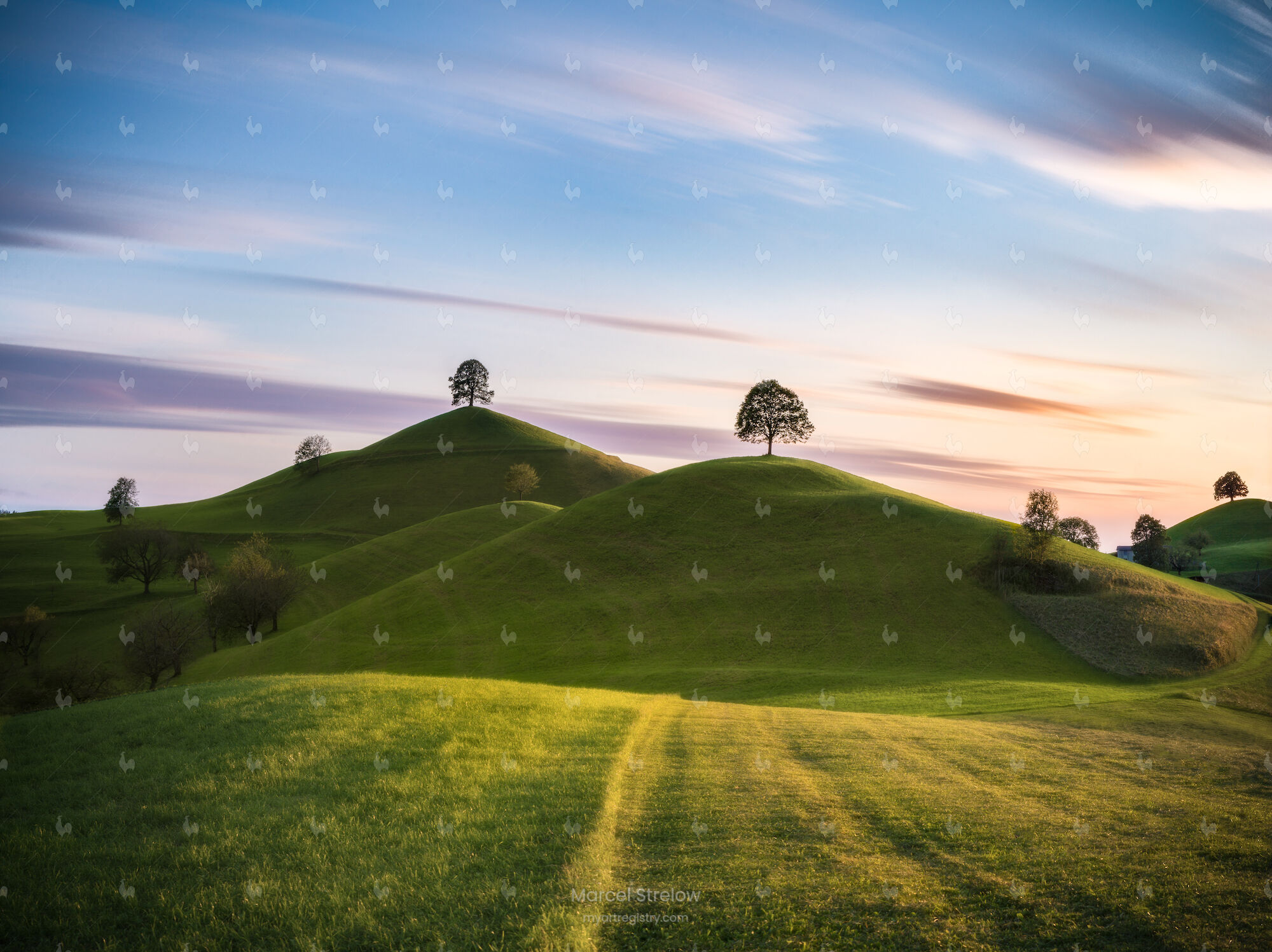 Kings of the Hills