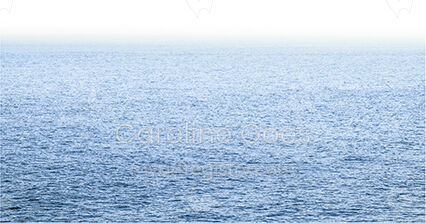 Blue Horizon