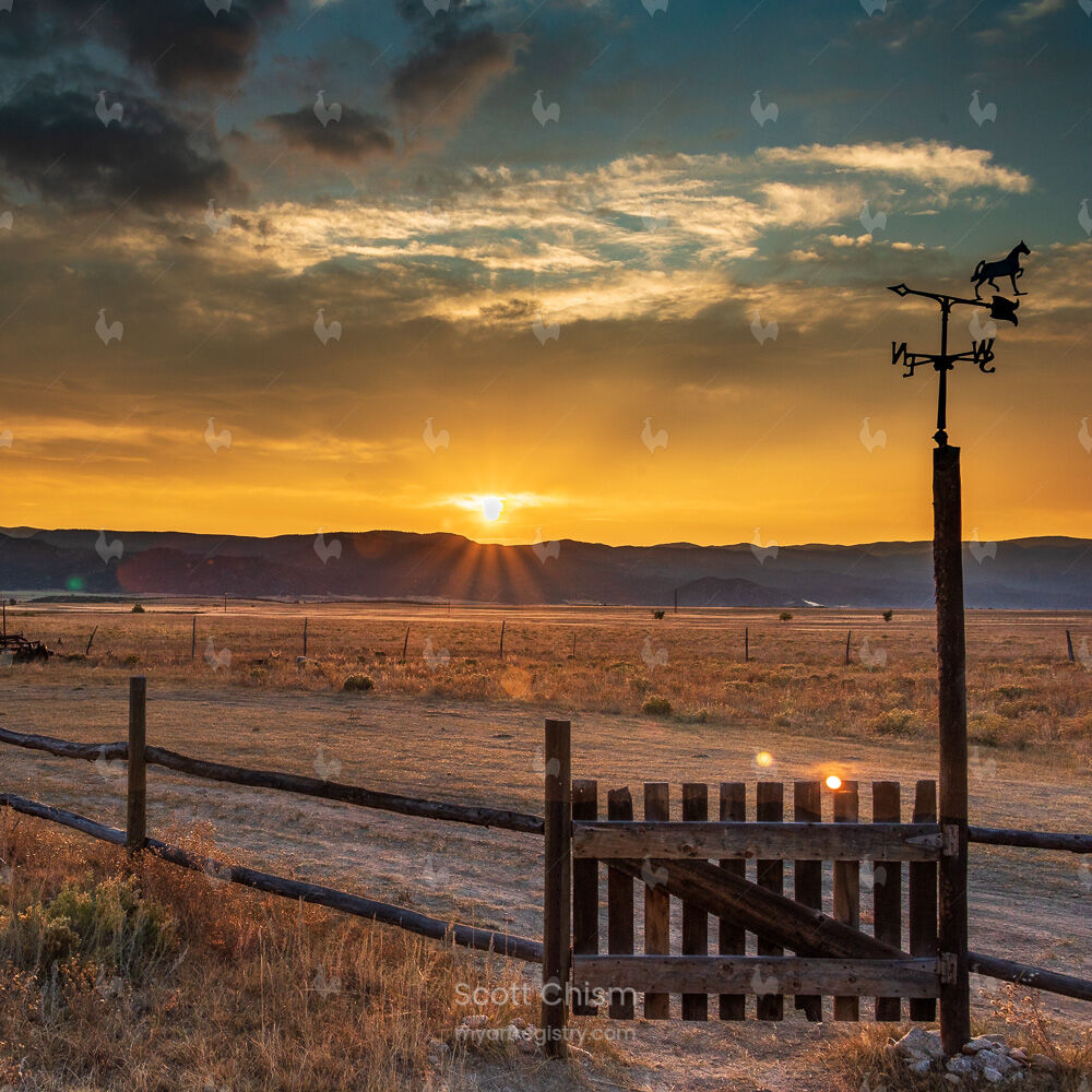 Wildrose Ranch Sunset