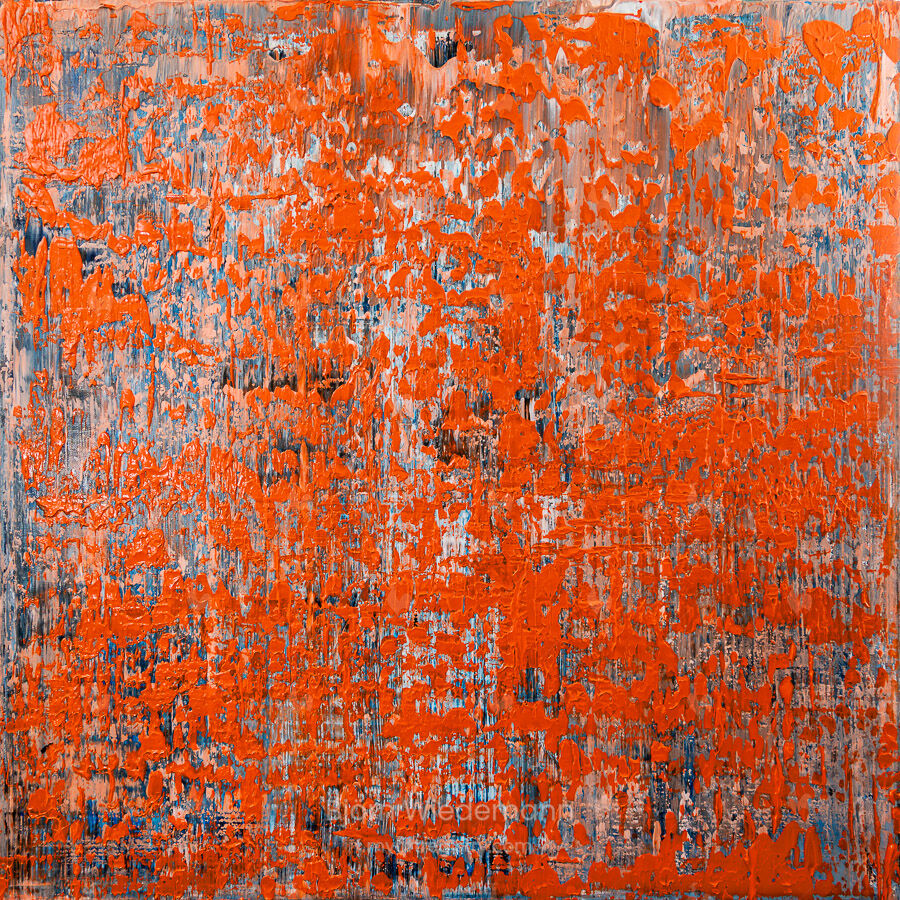 Orange Field [80x80cm]