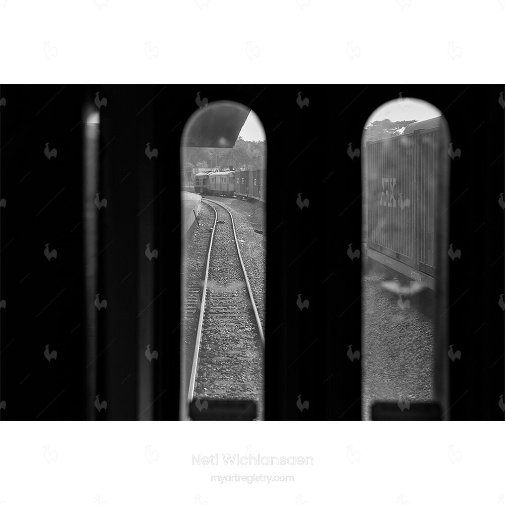 The Last Picture