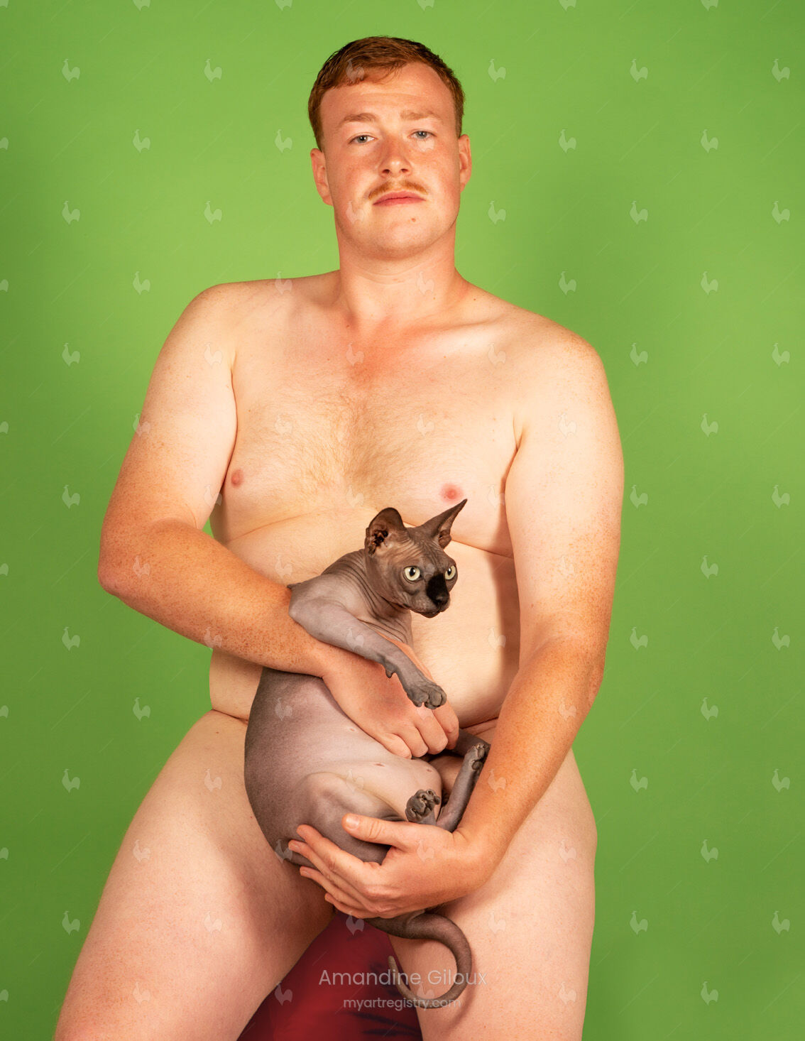 Avoir une chatte demande plus de courage que de chance