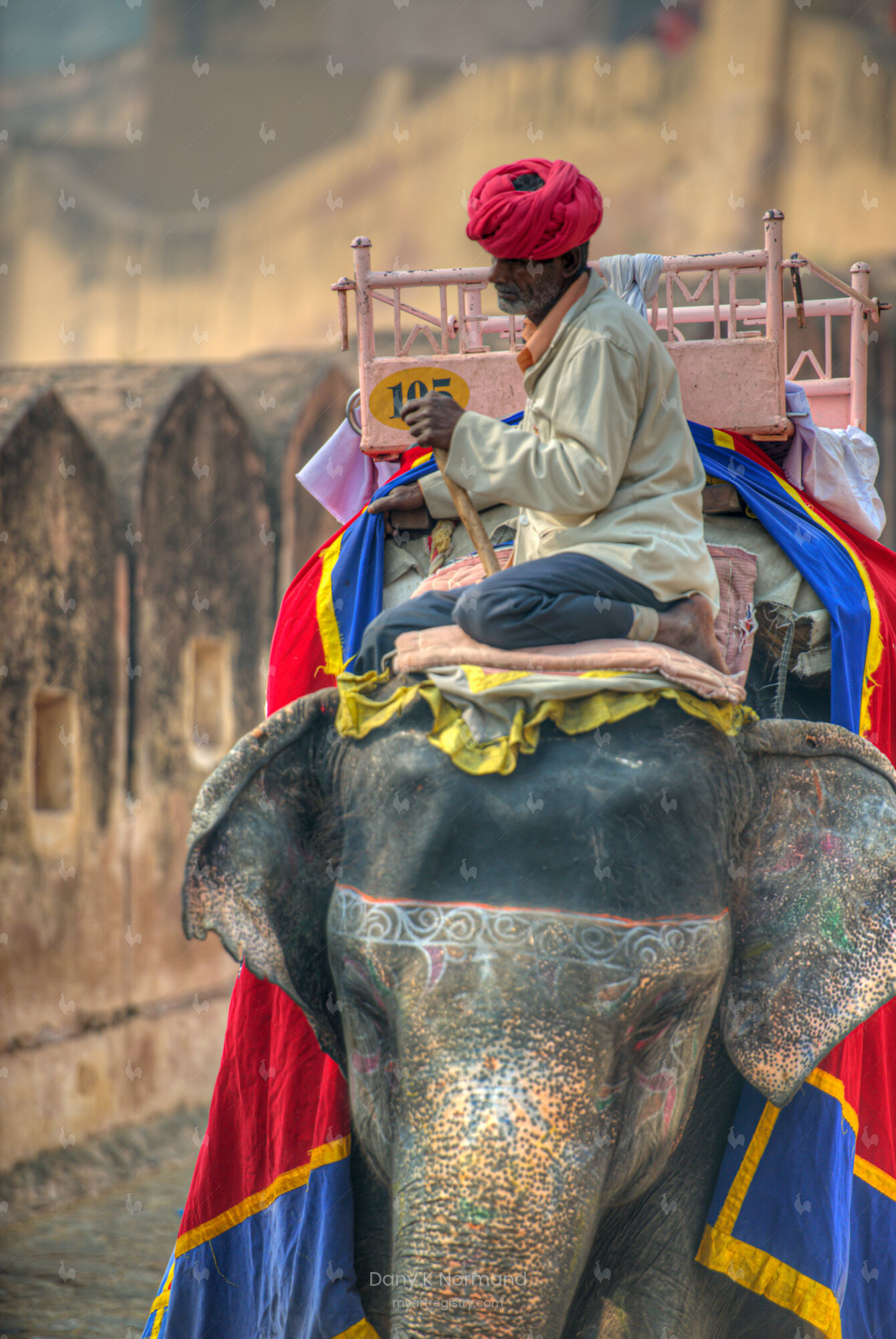 The Elephant Trail - India