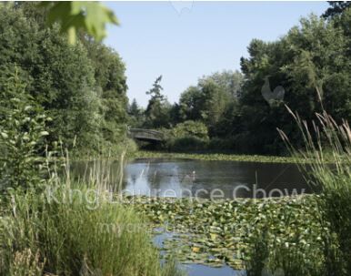 Granville Lake Richmond